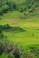 Labuhan Bajo - Bajawa 'On The Road' (12)